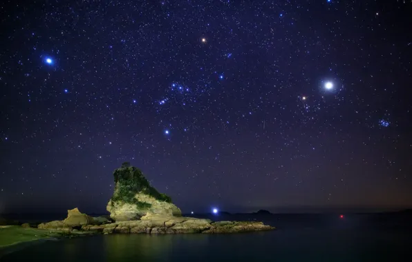 Picture sea, the sky, stars, night, stones, tree, constellation