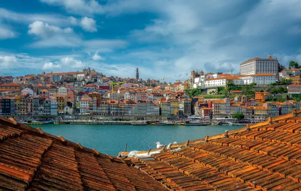 Roof, river, building, home, Portugal, Portugal, Porto, Port