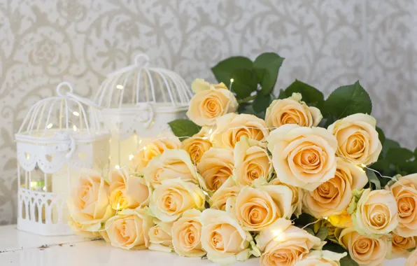 Flowers, roses, yellow, yellow, flowers, roses