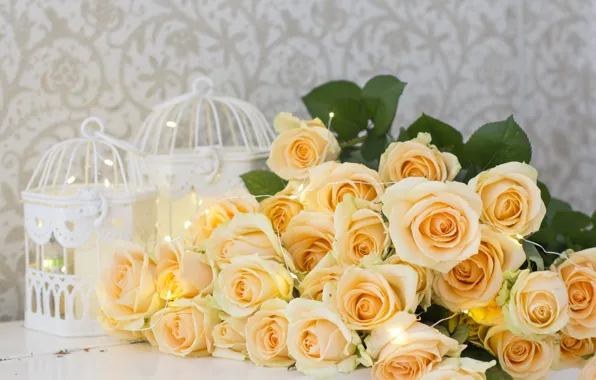 Flowers, yellow, roses, yellow, flowers, roses