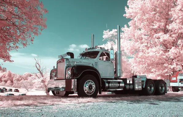 Picture trees, flowers, tractor, Mack, B61