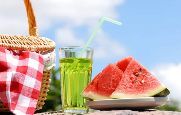 Summer, water, basket, watermelon, tube, drink, picnic