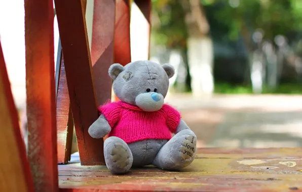 Picture background, toy, Teddy bear