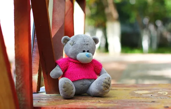 Background, toy, Teddy bear
