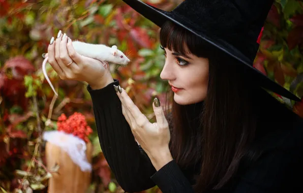 Picture girl, animal, holiday, witch, halloween, rat, Halloween