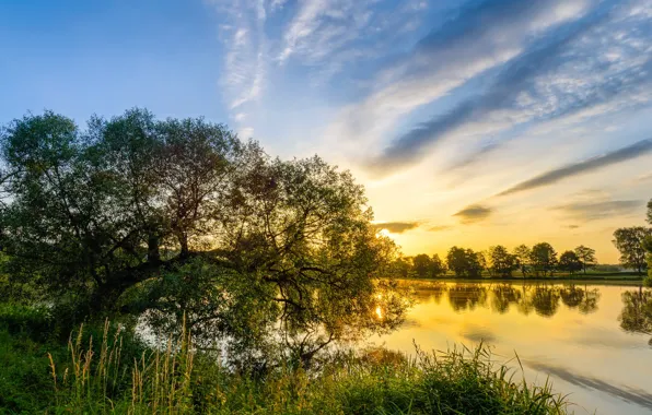 Trees, sunset, lake, Germany, Bayern, Kunersdorf