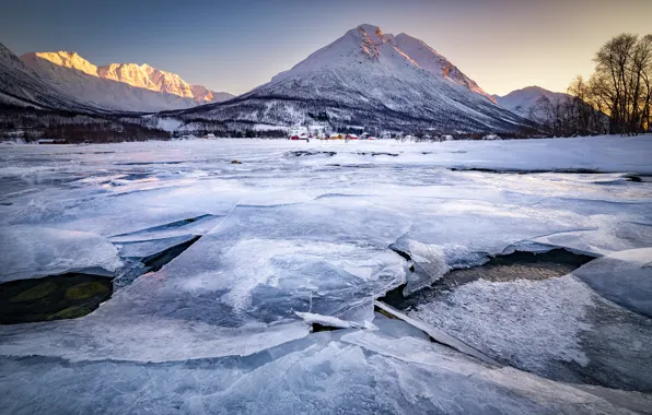 Ice, winter, forest, snow, trees, mountains, rocks, shore
