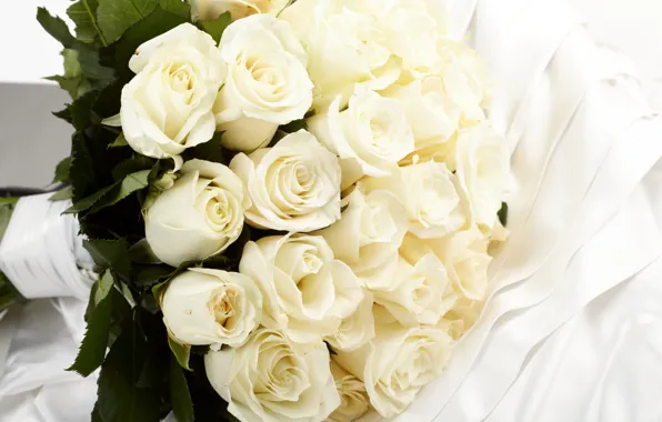 Bouquet, white, white roses, flowers, roses