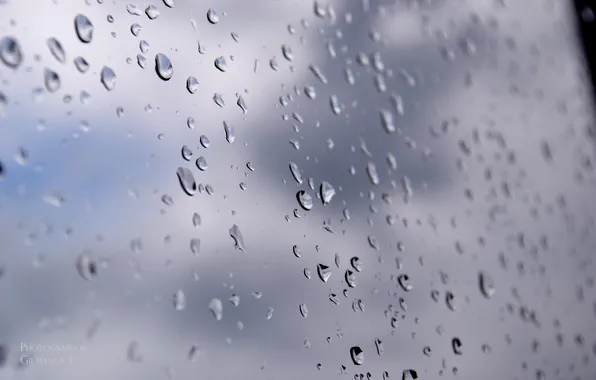 Water, drops, rain, window