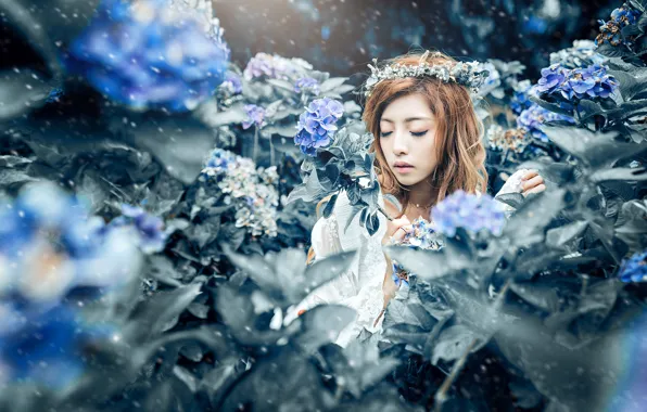 Picture girl, flowers, nature, face, blue, portrait, hands, petals