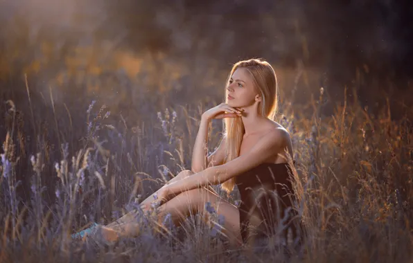 Field, summer, look, girl, pose, blonde
