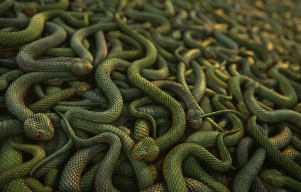 Picture snakes, texture, digital art, 3D art