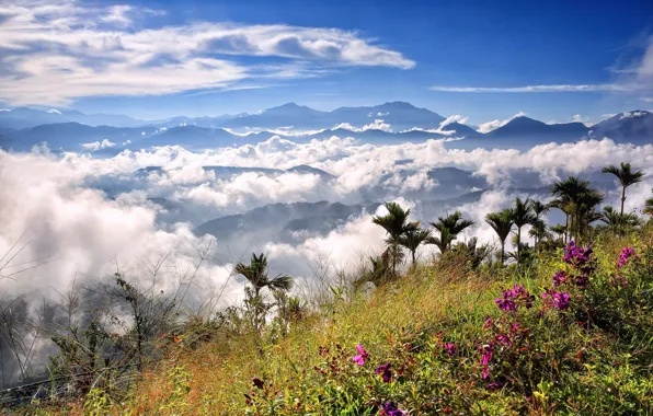 Picture the sky, clouds, mountains