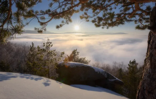 Winter, the sun, clouds, snow, landscape, sunset, mountains, branches