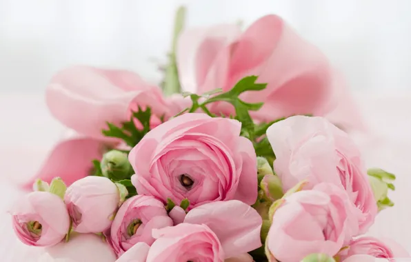 Gift, bouquet, pink flowers