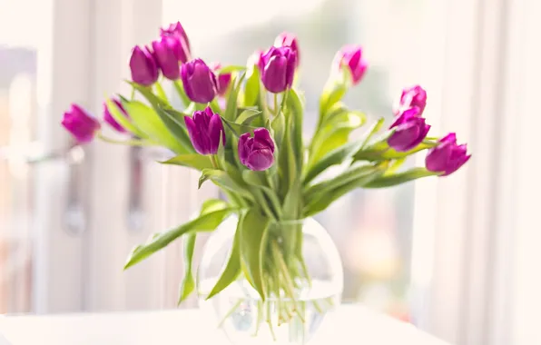 Flowers, bouquet, petals, tulips