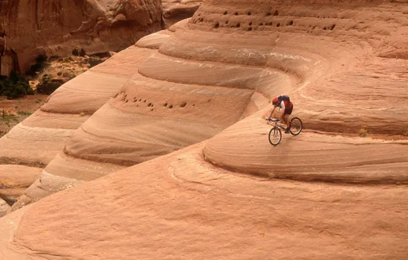 The descent, mountain, athlete, cyclist, extreme, adrenaline, mountain bike