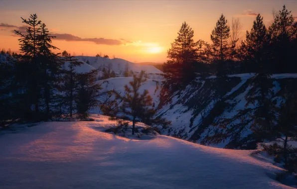 Winter, snow, trees, landscape, sunset, nature, Alexey Bagaryakov