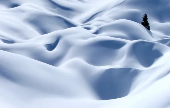 Winter, white, snow, tree, Alps