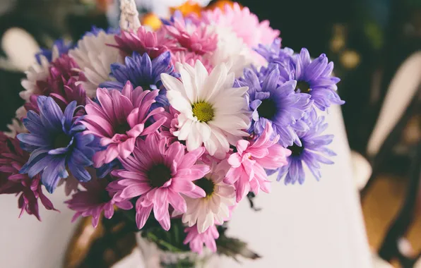Picture flowers, bouquet, petals, pink, white