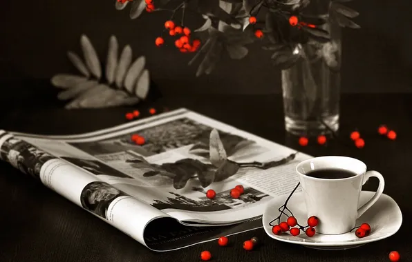 Picture branches, berries, coffee, mug, journal