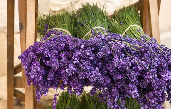 Picture bouquet, flowers, lavender, lavender