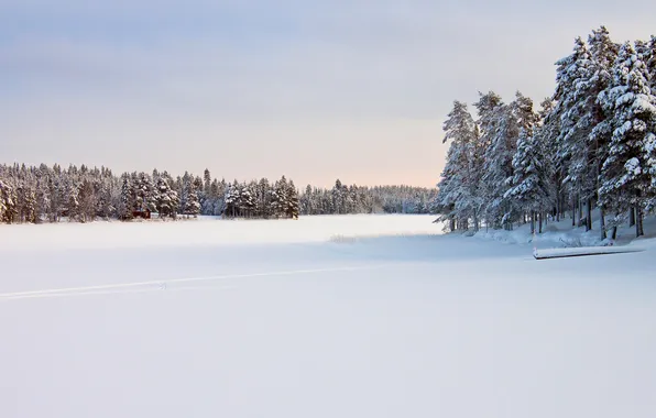 Picture winter, forest, the sky, snow, trees, river, direction