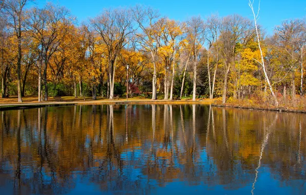 Autumn, trees, lake, pond, Park, reflection