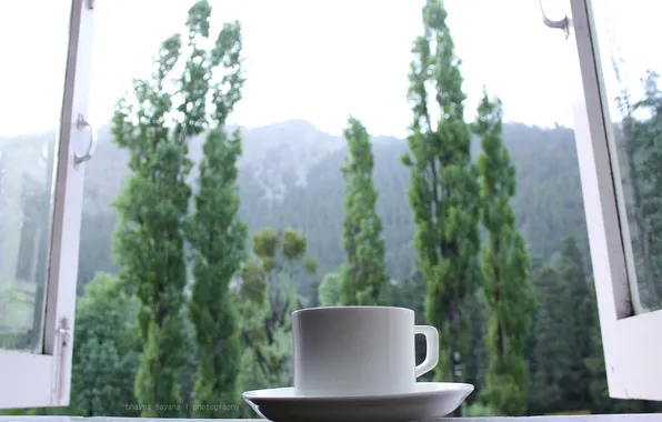 Tea, morning, window, Cup, saucer