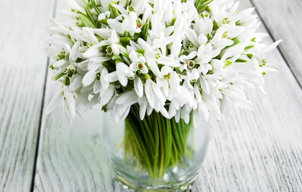 Picture bouquet, snowdrops, vase, white, Olena Rudo
