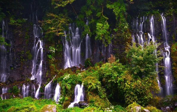 Forest, nature, stones, rocks, foliage, waterfall, shrubs