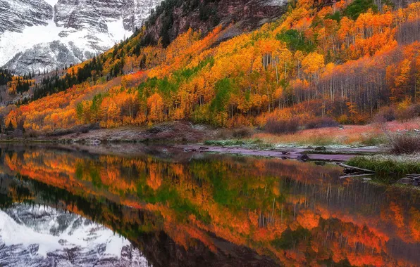 Autumn, trees, mountains, lake, reflection, Colorado, USA, Aspen