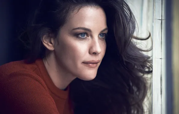 Picture face, actress, brunette, hairstyle, Liv Tyler, photoshoot, closeup, Liv Tyler