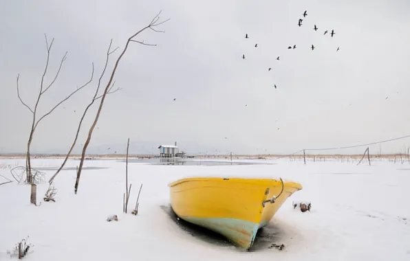 Picture winter, snow, birds, boat