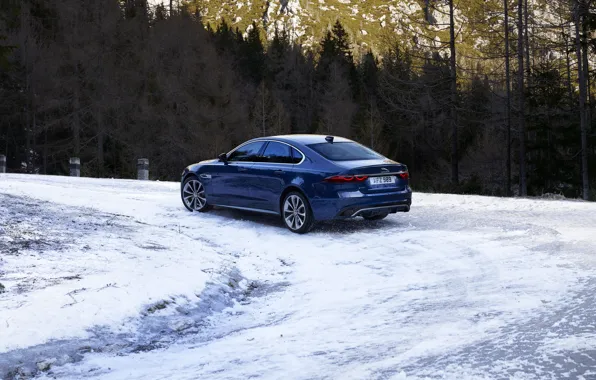 Road, forest, snow, trees, Jaguar, turn, sedan, Jaguar XF