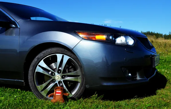 Greens, summer, grass, heat, wheel, Honda, Honda accord, accord 8