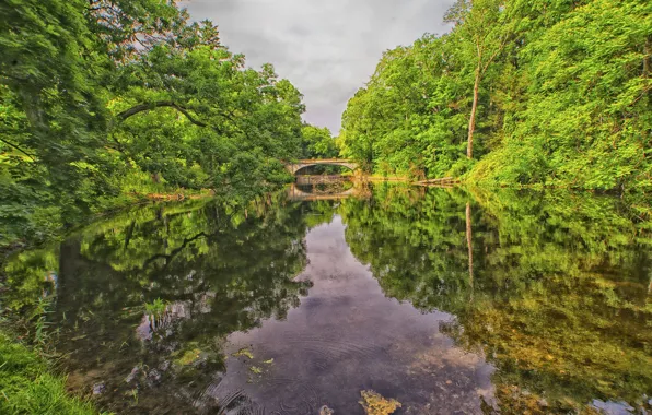 Picture forest, the sky, trees, bridge, lake, Park, river
