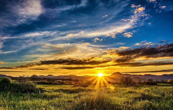 Greens, field, the sky, grass, clouds, sunset, mountains, the rays of the sun