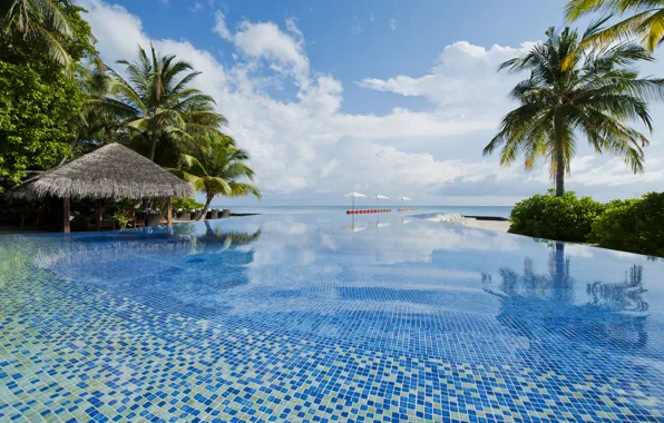 Picture palm trees, the ocean, pool