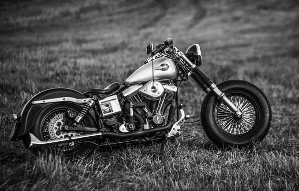 Picture design, style, motorcycle, form, bike, Harley-Davidson