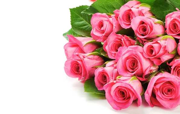 Picture flowers, pink, roses, bouquet