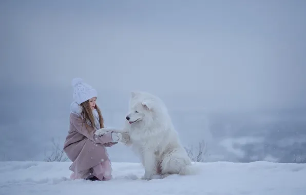 Winter, snow, dog, girl, friends, Samoyed