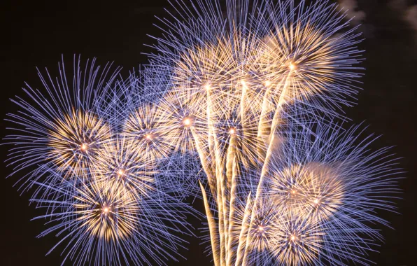 Picture holiday, salute, fireworks