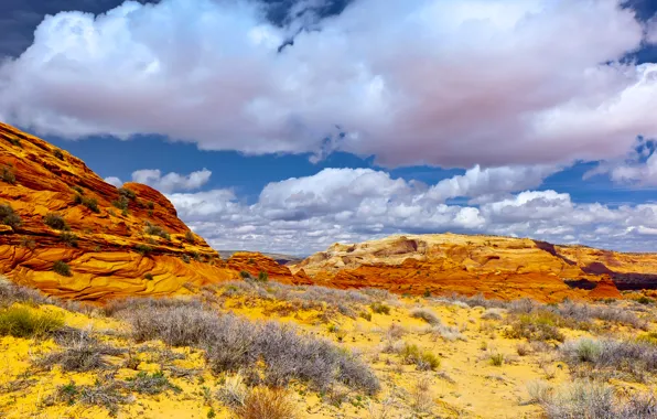 The sky, clouds, mountains, rocks, desert