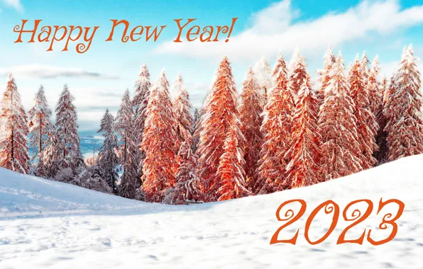 Winter, forest, the sky, clouds, nature, the inscription, ate, figures