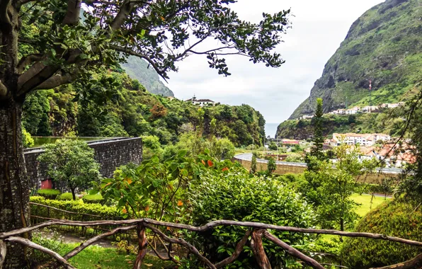 Sea, greens, trees, mountains, rocks, coast, home, Portugal