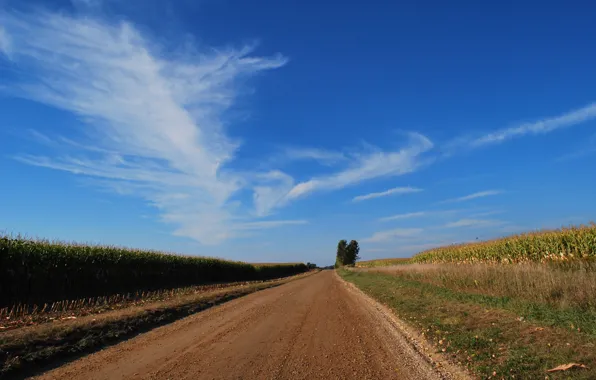 Picture road, summer, summer, Road