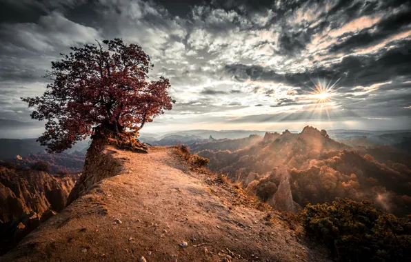 Picture autumn, trees, sunset, mountains