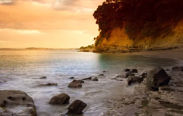 Picture beach, sunset, New Zealand, Auckland