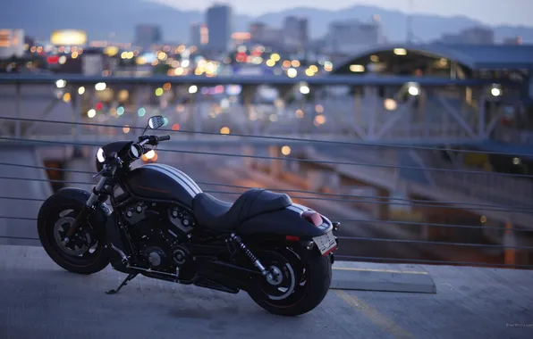 Bridge, the city, motorcycle, Harley-Davidson